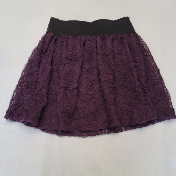 Stooshy Lace Lined Skirt in S - Picture 2 of 7